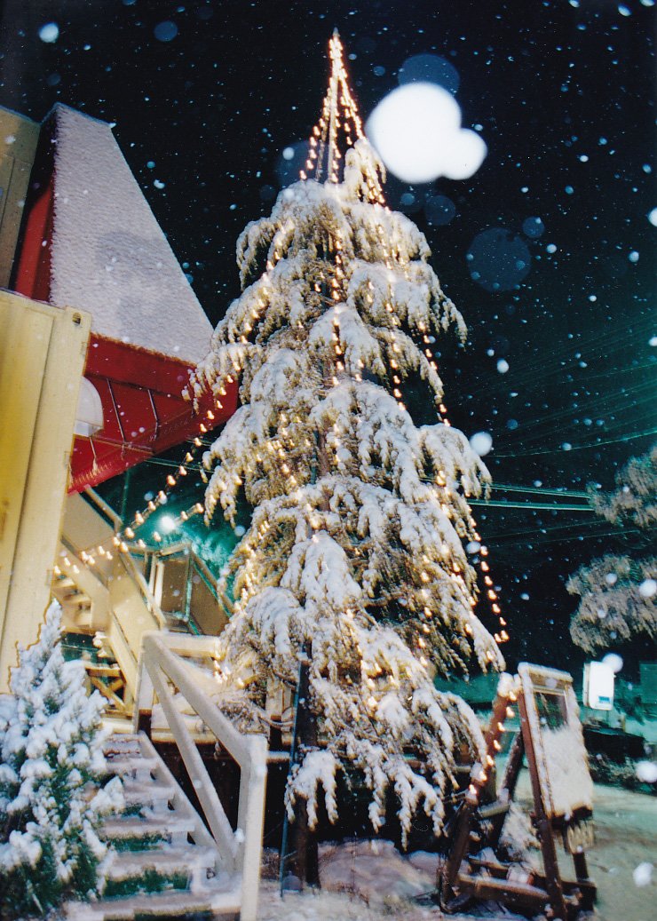 ホワイトクリスマス