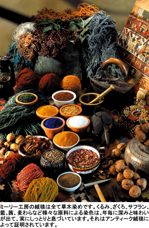 草木染めの材料