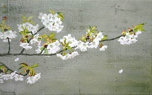 山桜　M10　宮野孝司